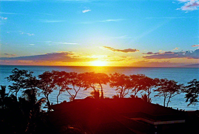 聖教新聞 新 人間革命に学ぶ