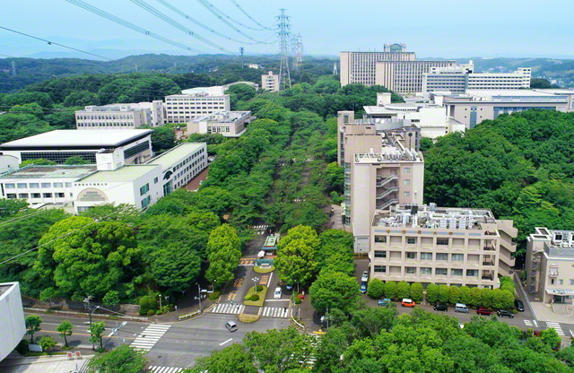 聖教新聞 聖教ニュース 紙面