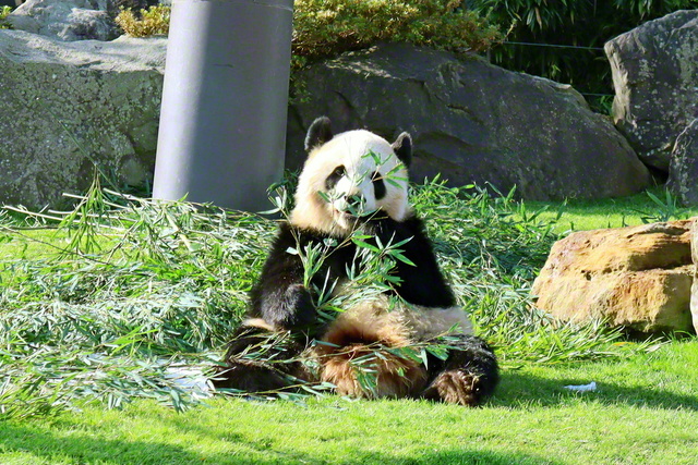 聖教新聞 企画 連載