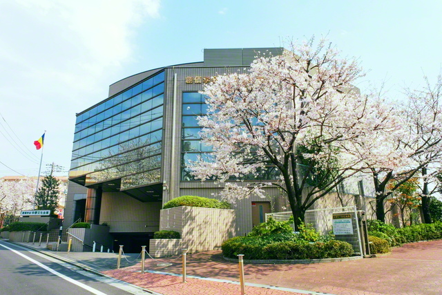 中野文化会館の庭に咲く「周恩来記念桜」。中国の周総理は留学生時代、会館から至近の地に一時下宿した。池田先生は5年前の5月に同会館を視察。中野の友に万感のエールを送った