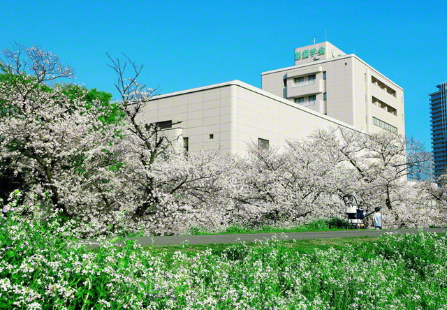 池田先生の故郷・大田。多摩川の土手から、堂々とそびえる大田池田文化会館を仰ぐ。満開の花の波に包まれた桜の城は、友の前進を見守るかのよう