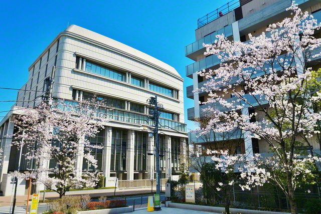 東京・信濃町の総本部を彩る大誓堂前広場の桜。この場所は、戦時中の弾圧直前に第2代会長・戸田城聖先生が足を運び、折伏した学会員の家があった地である
