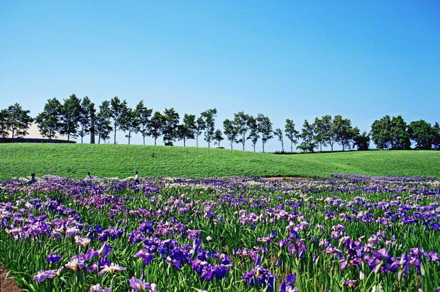 聖教新聞:企画・連載(紙面)