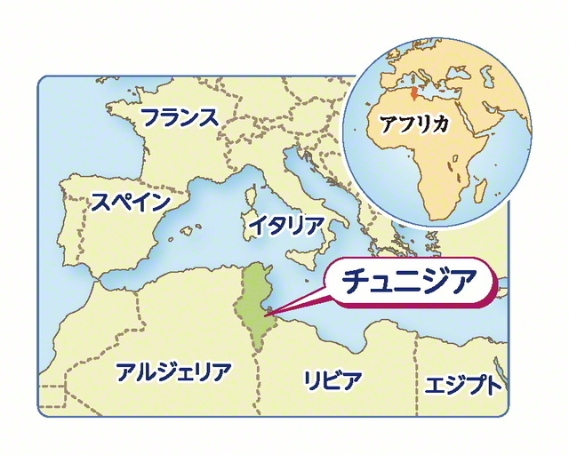 聖教新聞 企画 連載