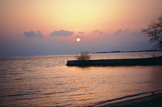 聖教新聞(創価学会の機関紙)の公式サイト