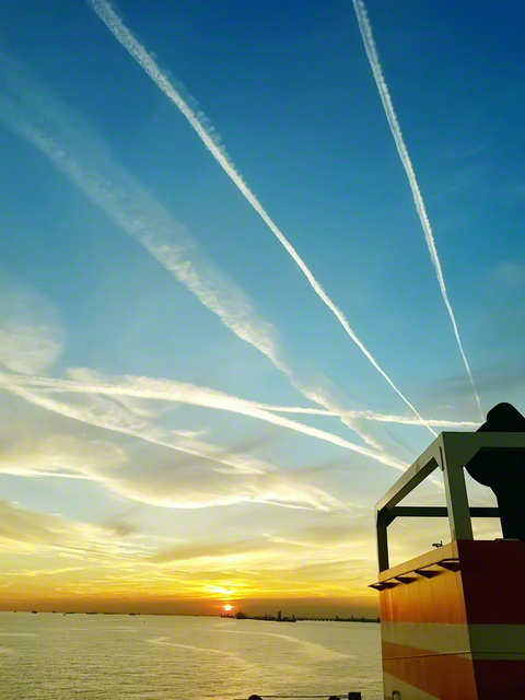 聖教新聞 デジタル企画