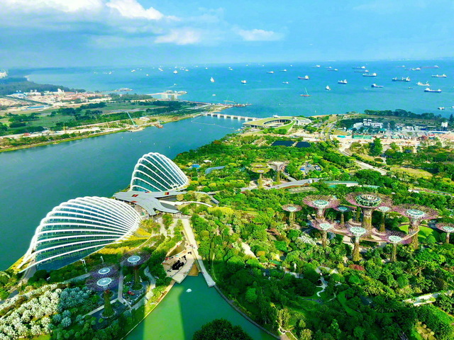 聖教新聞 デジタル企画