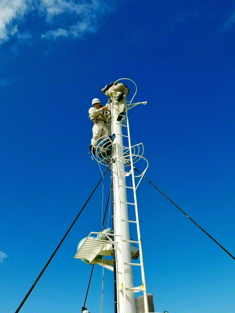 聖教新聞 デジタル企画