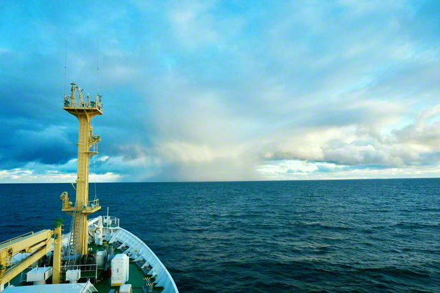 聖教新聞 デジタル企画