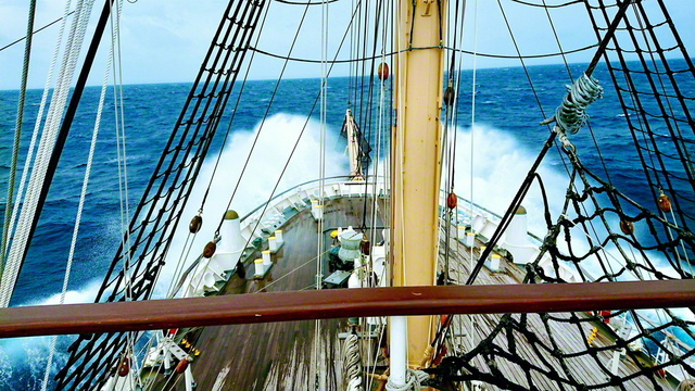 聖教新聞 デジタル企画