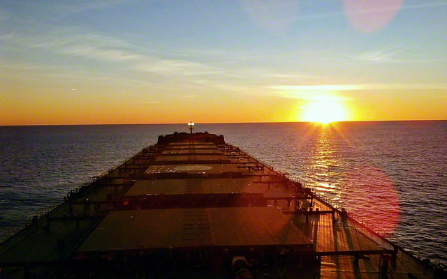 聖教新聞 デジタル企画