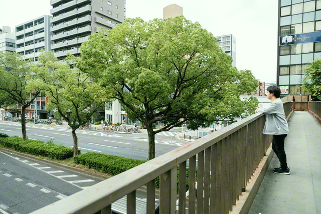 聖教新聞 ユース特集