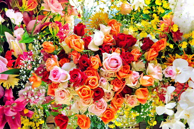 風の彩 花の調べ 池田大作写真集 新品未開封○池田大作 写真集「花謳う」創価学会発行【非売品】池田先生