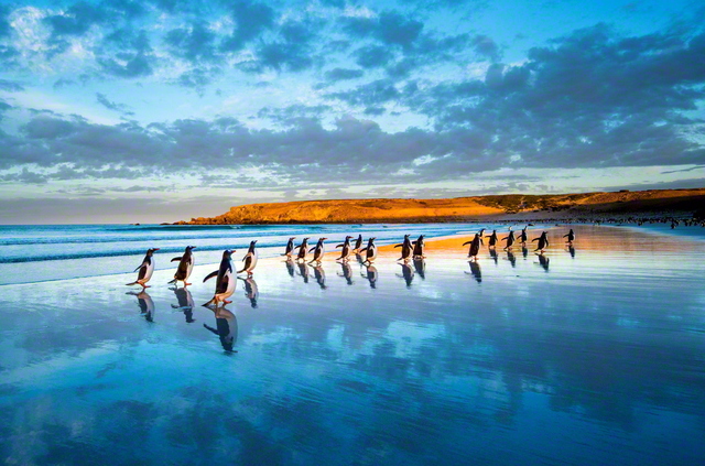 高砂淳二リトグラフやすらぎの場所218/600 絵画海