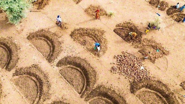 半月型農法と呼ばれる、雨の水の流出を抑え、水を効果的に使う伝統的農法。荒廃した土地を再生し、農業用地に変える（2021年、セネガルで）　©WFP