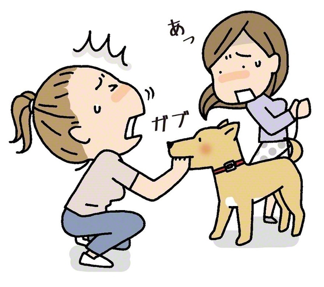 かむ