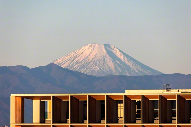 烈風に胸張り堂々と前進――元朝の朝日を浴びて輝く白雪の富士（総本部から撮影）