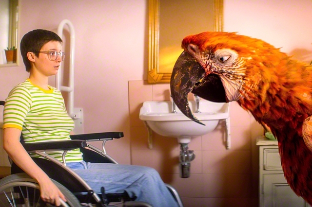 「終わりの鳥」　©DEATH　ON　A　TUESDAYLLC/THE　BRITISH　FILM　INSTITUTE/BRITISH　BROADCASTING　CORPORATION　2024