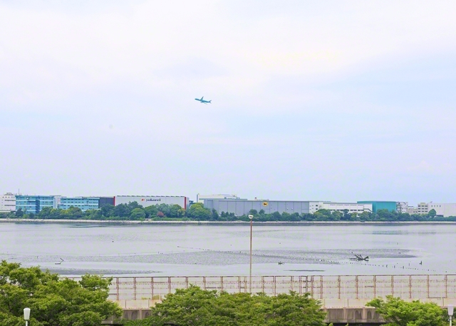 羽田空港からほど近い森ケ崎公園（東京都大田区）。離陸する飛行機のように、大田の同志は逆風をバネに力強く飛翔する