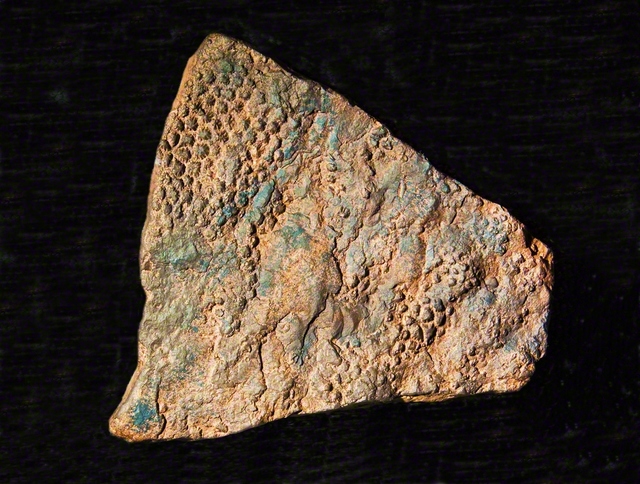 恐竜の皮膚の化石（Science　Source/アフロ）。先端技術を駆使すれば恐竜の皮革製品も可能だろうか