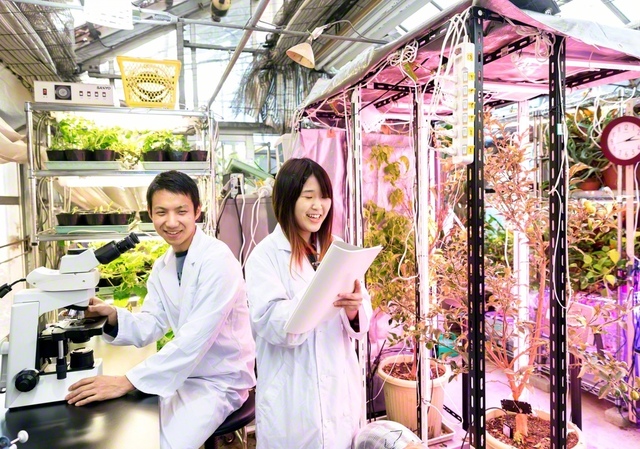 地球規模の課題に「グリーンテクノロジー」で挑戦する環境人材を育む新学科。「理論と実践のバランスが取れた教育」と、環境問題の専門家も期待を寄せる