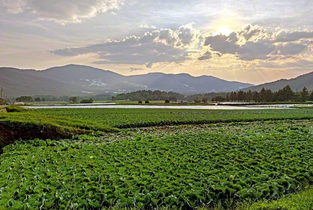 駅伝部の合宿が行われた長野・菅平高原