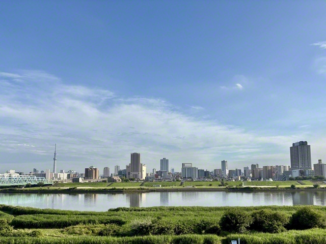 荒川千住新橋緑地から望む東京の街並み（東京都足立区）。左手には東京スカイツリーが