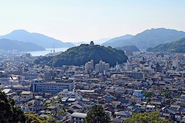 愛媛県宇和島市の愛宕公園から市街を望む。中央には、“現存12天守”の一つである宇和島城がそびえ立つ
