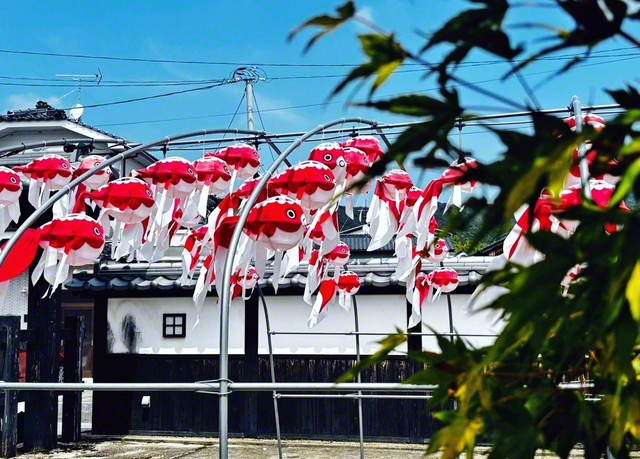 江戸時代の商家の家並みが残る山口県柳井市の古市・金屋地区。8月は同市の郷土民芸品である「金魚ちょうちん」が飾られ、訪れる人の心を和ます＝山口・山田智江通信員