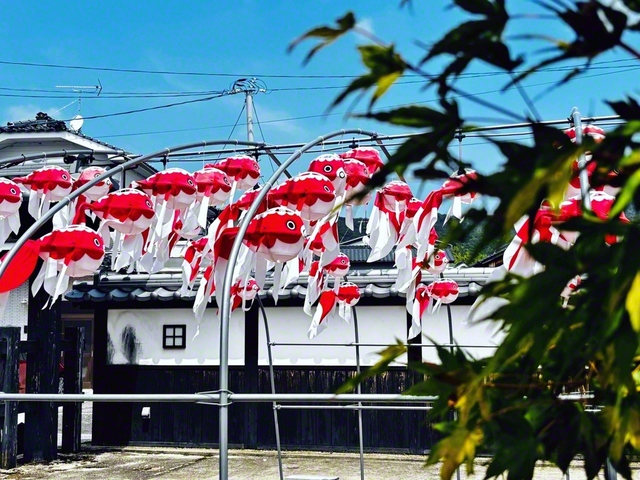 江戸時代の商家の家並みが残る山口県柳井市の古市・金屋地区。8月は同市の郷土民芸品である「金魚ちょうちん」が飾られ、訪れる人の心を和ます＝山口・山田智江通信員