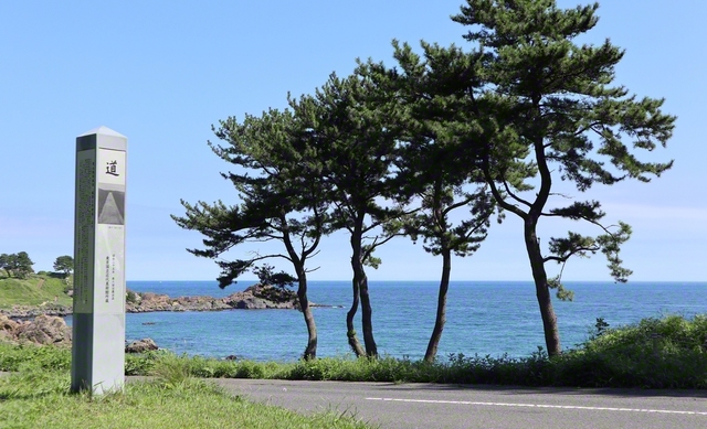 日本画の巨匠・東山魁夷画伯の名画「道」のモチーフとなった青森・八戸市の種差海岸＝青森・佐々木亜希子通信員