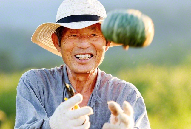 カボチャを収穫する宮本さん。試行錯誤の連続で、苦労に苦労を重ねてきた。「でも、嫌になることなんてなかったなあ」