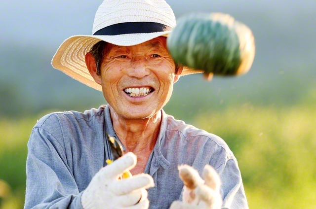 カボチャを収穫する宮本さん。試行錯誤の連続で、苦労に苦労を重ねてきた。「でも、嫌になることなんてなかったなあ」