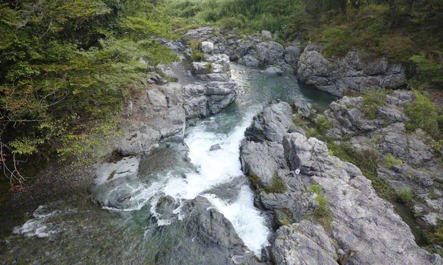 晩夏の秋川渓谷（東京都あきる野市）。生い茂る木々に包まれた岩肌を清流が洗う