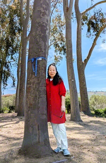 井上さんが、夫・幸夫さんをしのぶユーカリの木と共に（本年5月、SUAで）。「SUAのためにと思うと力がみなぎる」と語る井上さん。5年前には、未破裂脳動脈瘤の手術を勝ち越え、後遺症もなく、生き生きと誓いを果たしている
