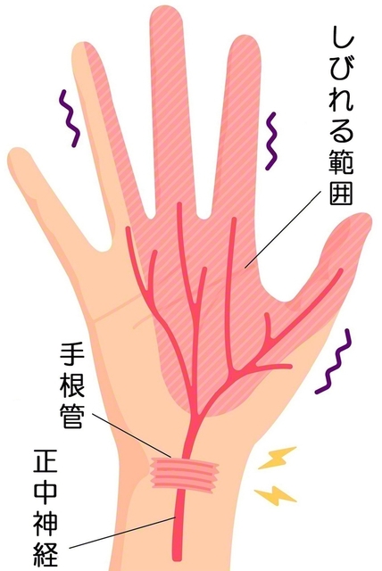 （PIXTA）