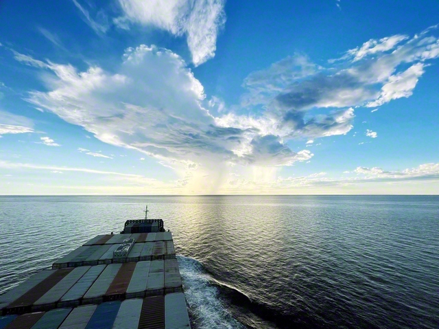 出展作品から。「勝利のV」（新潟沖）