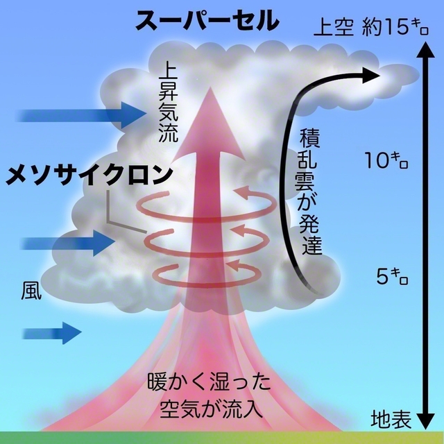 竜巻を引き起こすスーパーセルが形成されるイメージ