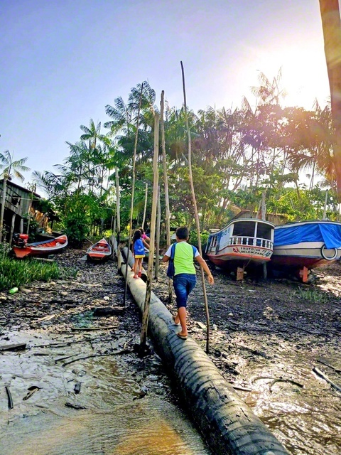 学校がある島に到着。沼地に用意された“大木の道”を歩いて向かう