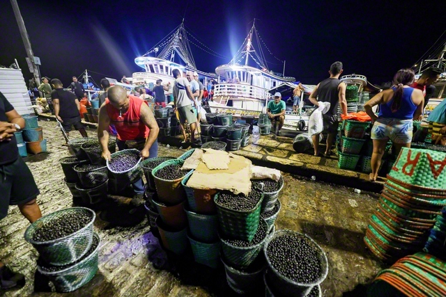 ベレンはブラジルにおけるアサイー流通の中心地。毎日、夜明け前に、アマゾン川流域で採れたアサイーが船で港に運ばれてくる