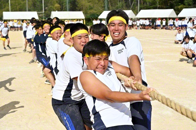 綱引きでは、皆が呼吸を合わせて力を尽くす（同）