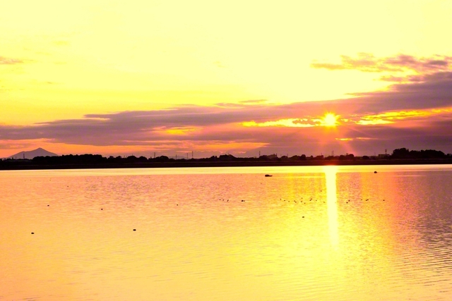 【栃木】太陽が勢いよく昇り、渡良瀬遊水地を真っ赤に染める（佐野藤岡インターチェンジから車で約20分）