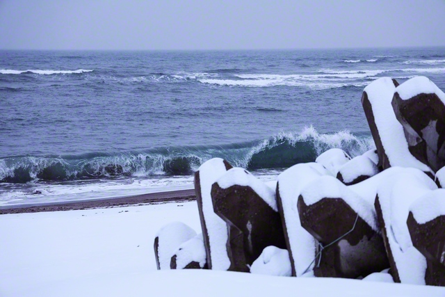 この1月、極寒の海は灰色だった
