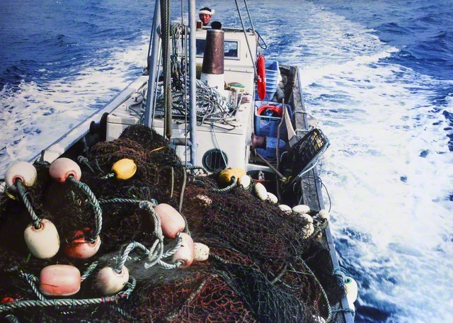 漁師だった頃の義信さん。うねる波。うなるエンジン。オホーツク海に網を打ち続けた