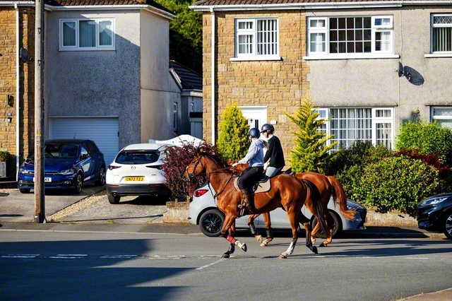 平日の夕刻、優雅に乗馬を楽しむ人たち