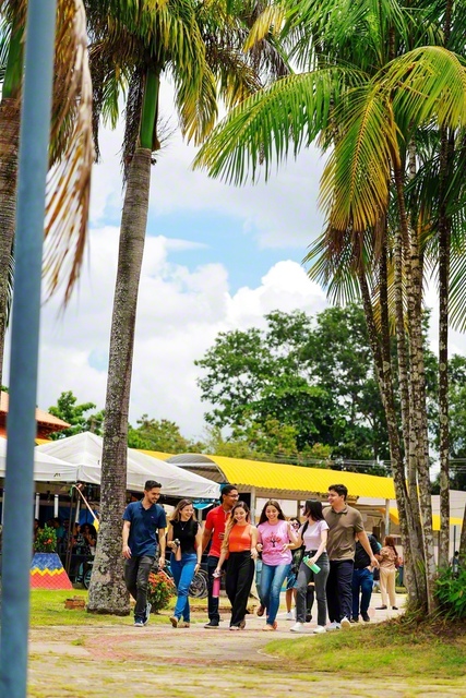 ヤシの木が立ち並ぶ大学のキャンパスを、学生たちが語らい歩く