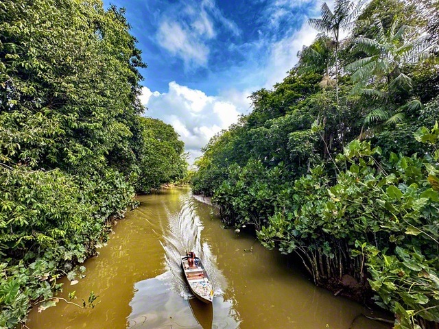 大学内には、まるで熱帯雨林の中にいるような深い緑と静かな川が息づく