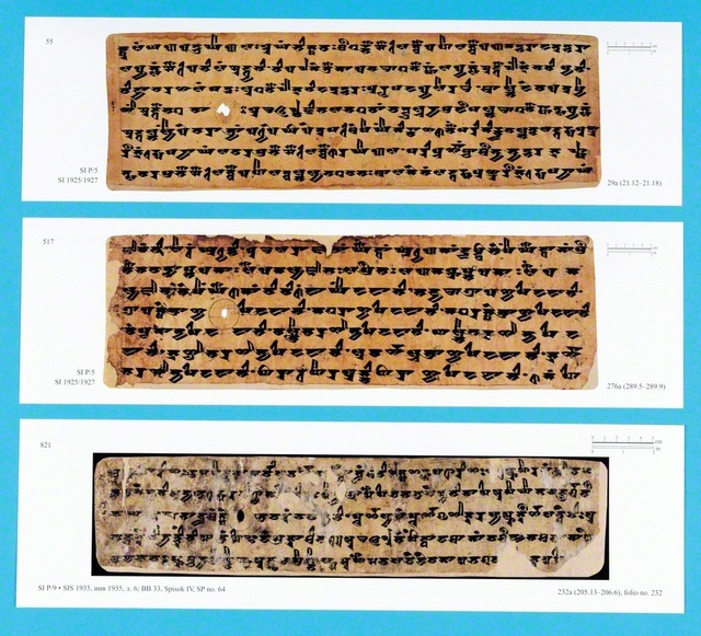 写真は、ペトロフスキー本をはじめ各種の法華経写本を収めた「ロシア科学アカデミー東洋古文書研究所所蔵梵文法華経写本（SI　P/5他）――写真版」から。白樺の樹皮や貝葉（ターラ樹の葉）、紙などに書写された仏典を「写本」という。これまで創価学会と東洋哲学研究所は共同事業として「法華経写本シリーズ」刊行を推進。法華経の原典研究に寄与している