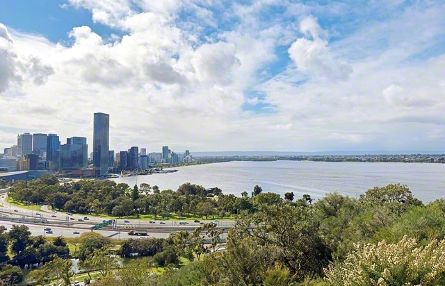 高台にある緑豊かな公園「キングスパーク」から市内を一望。雄大なスワン川のほとりにはビルが立ち並び、都市と自然が調和する