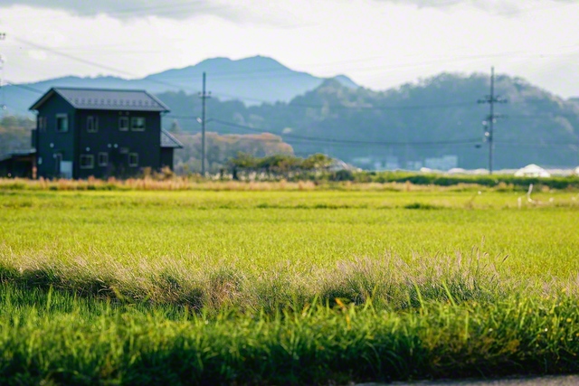 山に囲まれた緑豊かな大地に、関岡さんは題目を染み込ませてきた